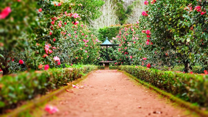 Jardins de Marqueyssac et Eyrignac
